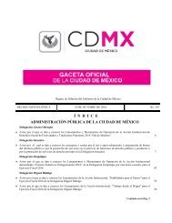 Í N D I C E ADMINISTRACIÓN PÚBLICA DE LA CIUDAD DE MÉXICO