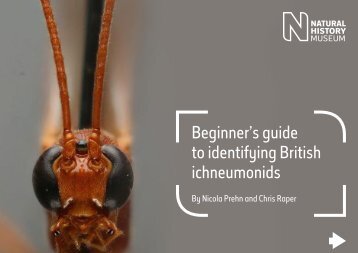 to identifying British ichneumonids