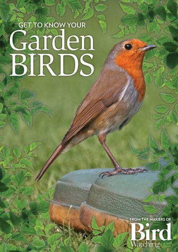 32 Garden Birds