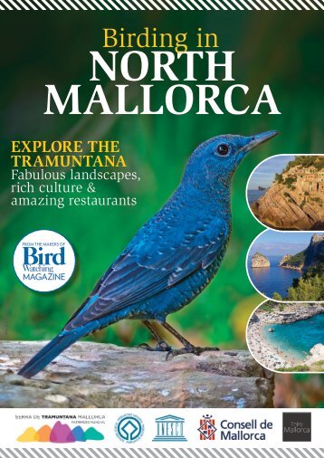 Birding in Mallorca