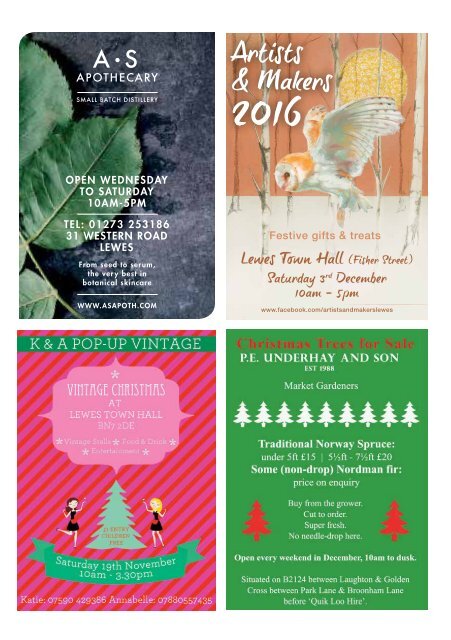 Viva Lewes Issue #122 November 2016