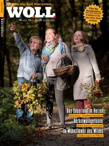 WOLL-Magazin für Brilon, Olsberg, Marsberg, Willingen und Umgebung - Ausgabe Herbst 2016