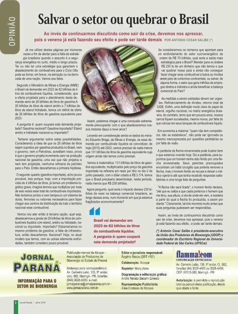 Jornal Paraná Julho 2015