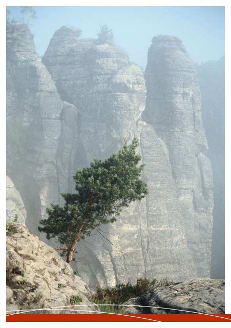 Aktiv erleben! - Sächsische Schweiz und Elbsandsteingebirge