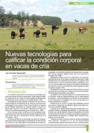 Nuevas tecnologías para calificar la condición corporal en vacas de cría