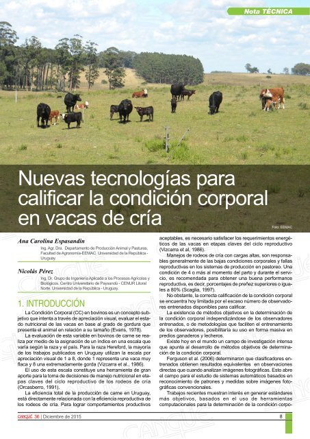 Nuevas tecnologías para calificar la condición corporal en vacas de cría