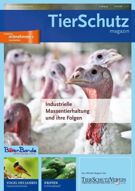 Industrielle Massentierhaltung und ihre Folgen - TierSchutzVerein ...