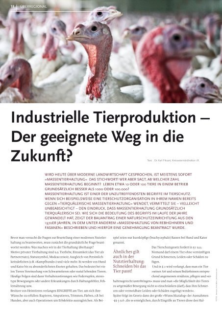 Industrielle Massentierhaltung und ihre Folgen - TierSchutzVerein ...