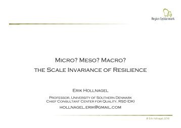 Micro? Meso? Macro? the Scale Invariance of Resilience