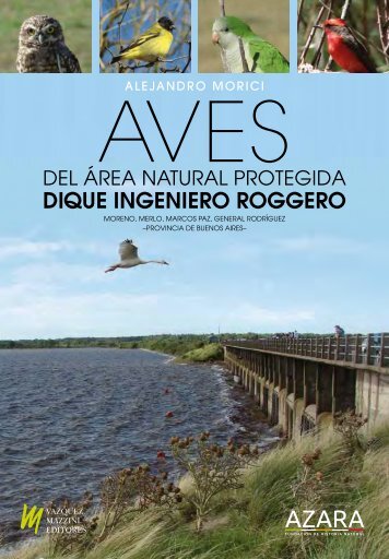 AVES