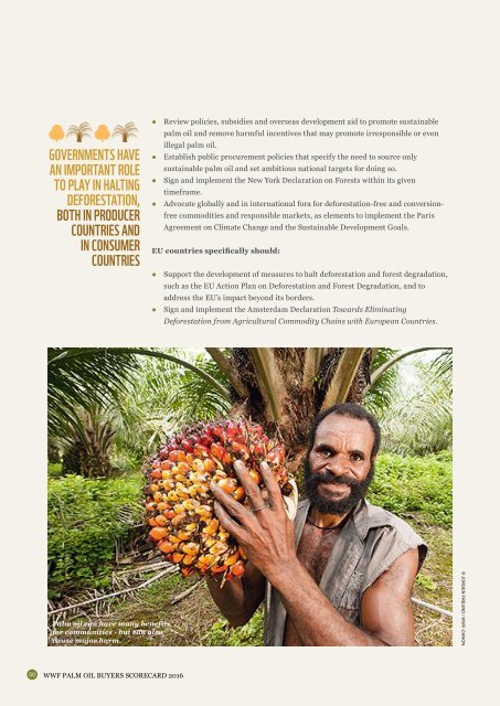 Palm Oil Buyers Scorecard