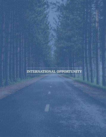 23-INTL' OPPORTUNITY