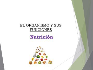 CLASE 9-UNIDAD III Nutrición Digestivo (1)