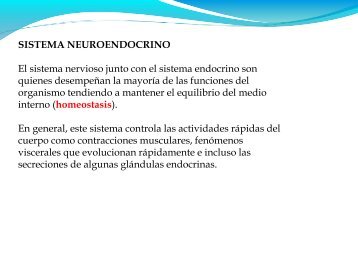 CLASE 13-UNIDAD III - Neuroendocrino