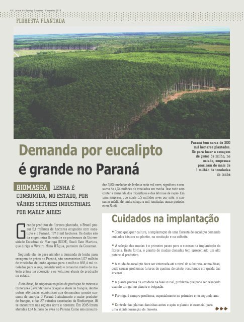 Jornal Cocamar Fevereiro 2016