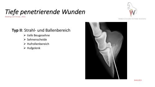 Verletzungen des distalen Zehenorgans - Kleine Verletzung - große Wirkung