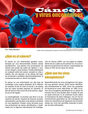 Cáncer y virus oncogénicos