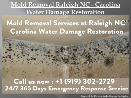 Mold Removal Raleigh NC - Carolina Water Damage Restoration