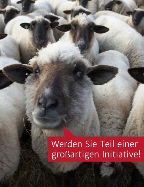 odin-broschüre
