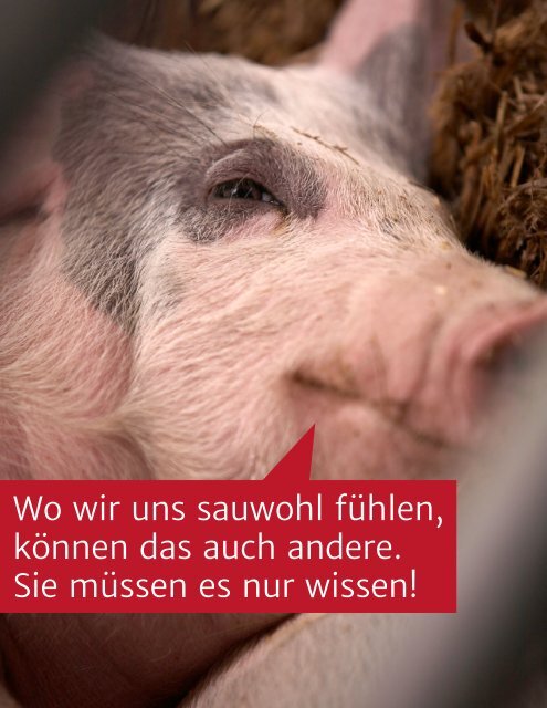 odin-broschüre