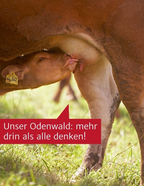 odin-broschüre