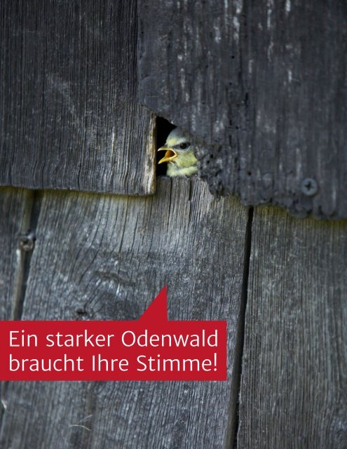 odin-broschüre