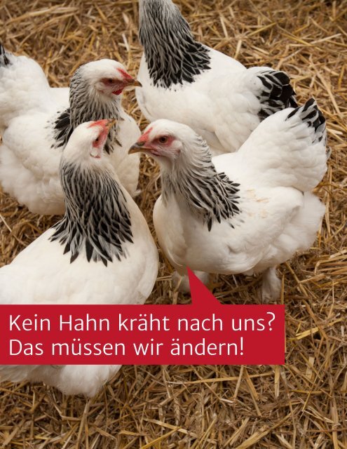 odin-broschüre