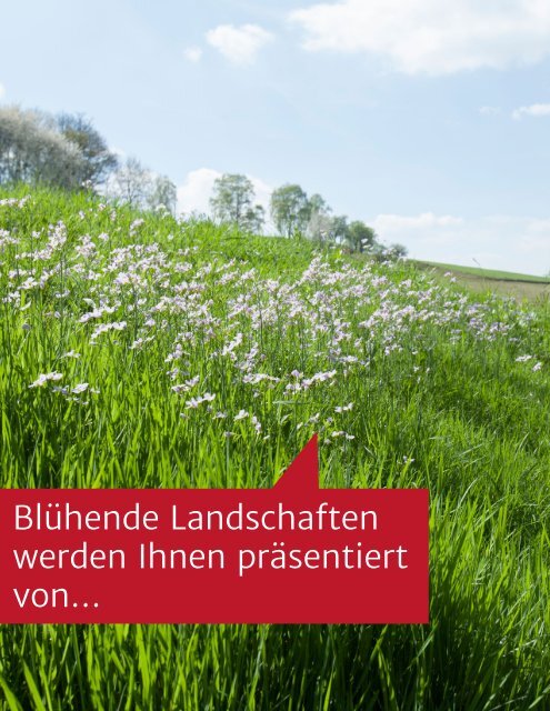 odin-broschüre