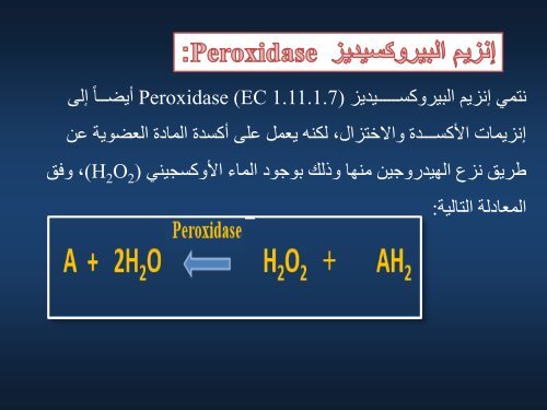  الانزيمات-3