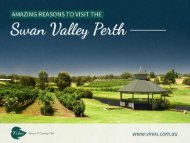 Amazing Reasons to Visit the Swan Valley Perth