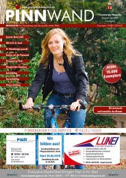 als PDF herunterladen - PINNWAND - Magazin