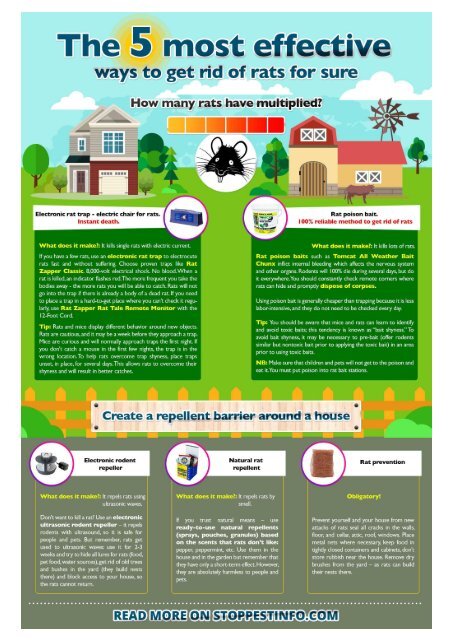 How To Get Rid Of Rats In The Yard And House