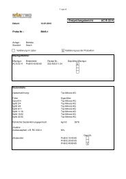 EP Bericht AC B 22 H