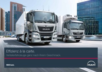 br_distribution_IAA_de_2016_screen