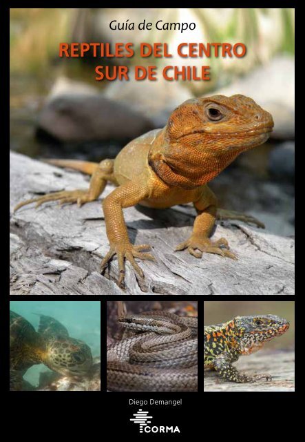 REPTILES DEL CENTRO SUR DE CHILE