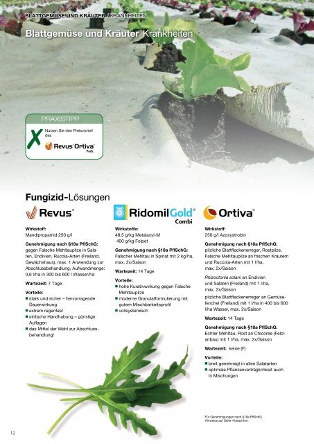 Flexton F1 - Syngenta