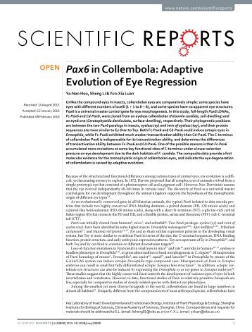 Pax6 in Collembola Adaptive Evolution of Eye Regression