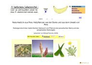 als pdf-Download