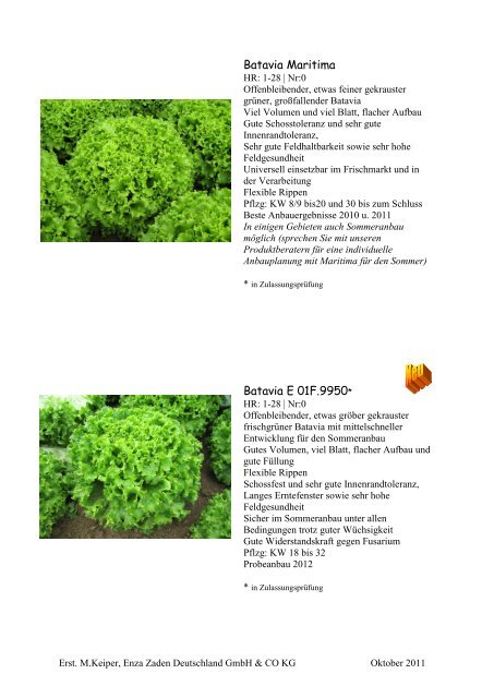 Neue Salatsorten für den Versuchsanbau 2012 - Enza Zaden