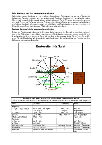 Erntezeiten für Salat - Gartenakademie Rheinland-Pfalz