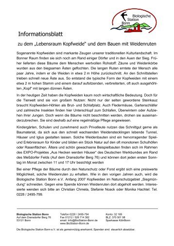 Infoblatt zum Lebensraum "Kopfweide" und Bauen mit Weiden