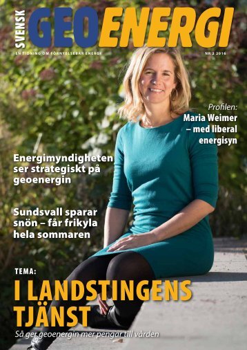 I LANDSTINGENS TJÄNST