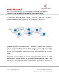 Guidewires Market Size, Share, Growth, Industry Analysis, Trends and Forecast Report up to 2024 | Hexa Research