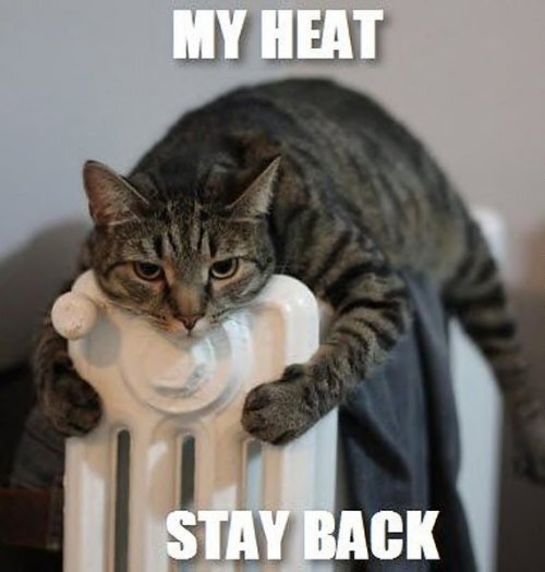 Funny Cat HVAC Meme