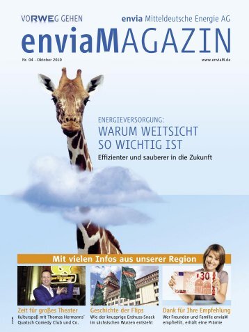 DER Smart - enviaM