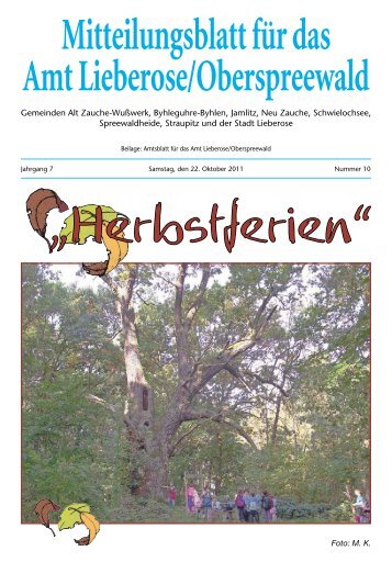 Mitteilungsblatt für das Amt Lieberose/Oberspreewald