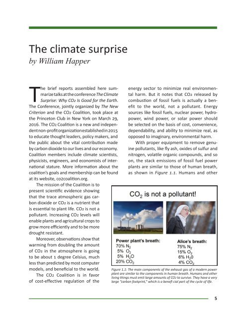 The Climate Surprise