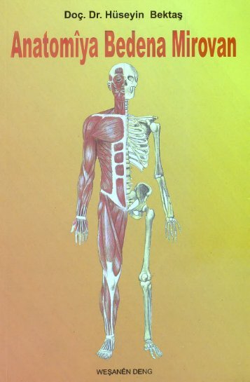 ANATOMÎ