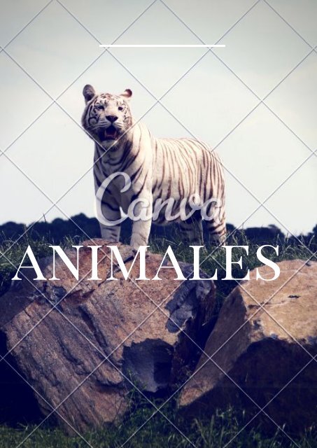 animales