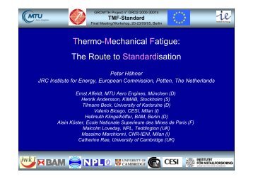 The Route to Standardisation - TMF-Workshop